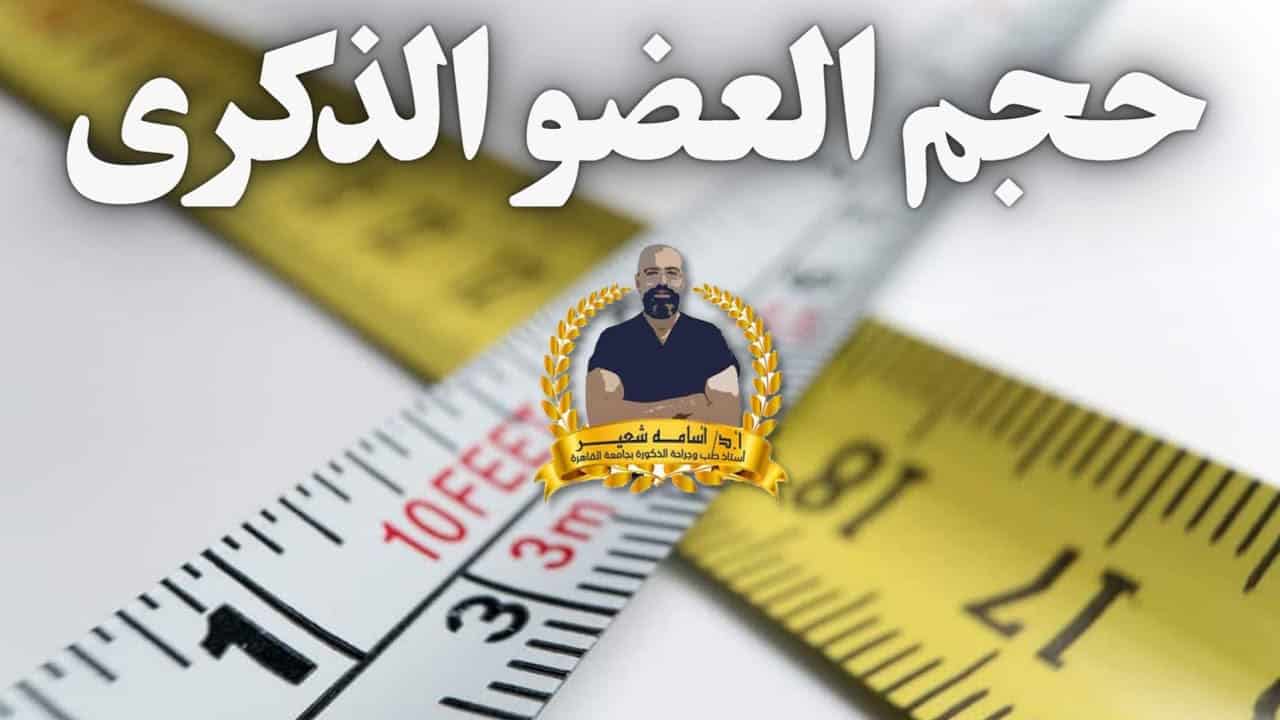 Penis Length Enhancement